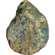 Taiwan Taitung Success Sea Wash Seaweed Jade