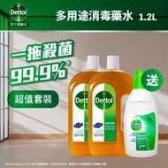 滴露 - [優惠套裝] 消毒藥水 1.2升x2支 送衣物消毒劑 750ml (新舊包裝隨機發送)