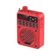 Portable Bluetooth Speaker Hifi Sound Voice Amplifier HD Recorder With LED Display Support FM Radio