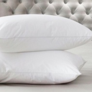 Body pillow, air pillow with Feather pillow core