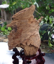 加里曼丹野生沉香老料435公克 星洲系 水沉香 酷斯拉怪獸造型