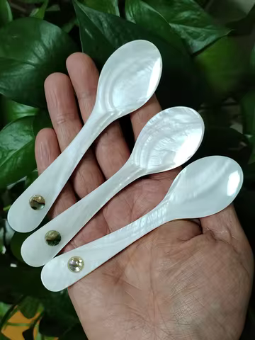 3 PCS Shell Caviar Spoons Mother of Pearl Caviar Spoons Round Handle for Caviar, Egg, Ice Cream, Cof