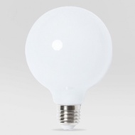 ERY BRIGHT 18W LED BULB GLOBE G125 E27 DAYLIGHT 6500K