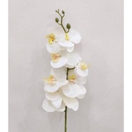 Anggrek Bulan Latex / Anggrek Artificial Putih / Bunga Anggrek