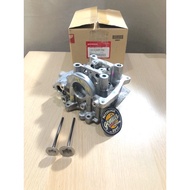 Cylinder Head Vario 150 - PCX 150 Honda (KZY)