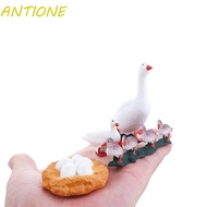 ANTIONE Life Cycle Figures Science Gifts Hen Cock Miniature Educational Toys Cycle Duck Figurine
