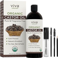 Organic Castor Oil for Eyelashes and Eyebrows - 16 fl oz, USDA Organic, Pure Hexane-Free Moisturizer Traditionally Used for Hair Growth, Natural Skin and Eyelash Serum, Cold Pressed with Beauty Kit