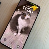 行貨 iPhone 15 Pro Max 1TB 黑色, 電94...