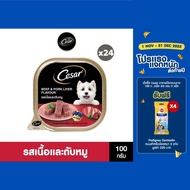 CESAR อาหารเปียกสุนัข แบบถาด ทุกรสชาติ 100 ก. (24 แพ็ก )