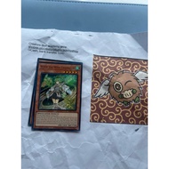 wynn the wind channelet