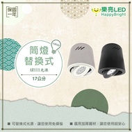 [Leliang] Downlight AR111 Replaceable AR111 Bulb Black White Ceiling Exposed Barrel Light AR111 Adju