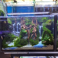 Aquarium Aquascape Full Set Design Natural Air Terjun P60xL35xT40 # 1
