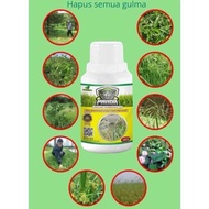 Obat Rumput  KILL GRASS PANDA RAJA PEMBUNUH GULMA SANGAT AMPUH