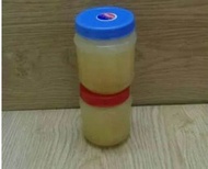 1kg Keo Bẫy Cò Vạc Thần Kỳ - Loại đặc biệt mầu trắng: Siêu Dính - Little Lala Shop