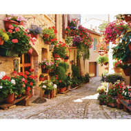 Paint By Numbers For Adults Beginners Flowers Diy Gift Canvas Painting Acrylic Paints Kits Drawing H