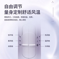 FLYCO Hair Dryer Portable Hair Dryer (FLYCO) Household FH6277 Negative Ion Hair Dryer High Power FVW