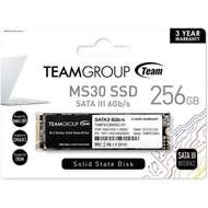 Ssd TEAM MP33 M.2 PCIe NVME SSD 256GB [TM8FP6256G0C101]