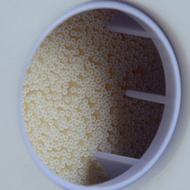 20 Inch Ultrafiltration UF Membrane Filter Elements Flat Mouth Universal Water Purifier Filter Eleme