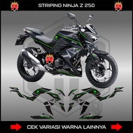 KAWASAKI NINJA Z250 STRIPING STICKER DECAL NINJA Z250 SLkawasaki