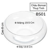 Bể Thuỷ Tinh - Chậu Nuôi Cá Trông Cây Bonsai Để Bàn BS01 Glass Contaier Φ 20cm