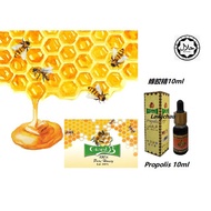 Giant B Propolis 10 ml 蜂胶精 Green Propolis 30ml绿色蜂胶精....