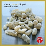 ACACIA Sg Royal Hojari Frankincense Resin from Oman (Boswellia Sacra) (Small Pieces)