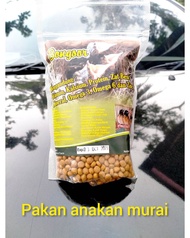 pakan anakan murai Loloan murai batu vitamin Anakan murai piyik murai