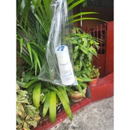 AMWAY G & H DEODORANT