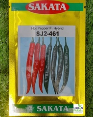BENIH CILI KULAI SAKATA SJ2 461 HOT PEPPER CHILI SEEDS HYBRID 10GM