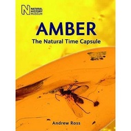 预订 Amber: The Natural Time Capsule [9780565092580]