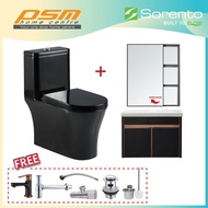 Sorento Black Coated One Piece Design Wash Down Toilet Bowl WC Stainless Steel 304 Basin Cabinet Pac