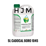 CADOCAL BORO 1045 (5L)