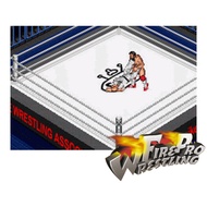 [pc game] Fire Pro Wrestling PC games  for windows