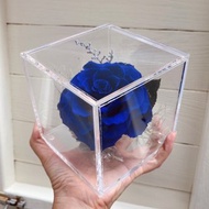 小王子的玫瑰 方型花盅 藍色妖姬 厄瓜多爾永生花