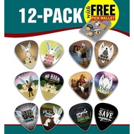 Psalm 91 Guitar Picks (12-Pack)