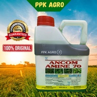 4L Amine 70 Ancom Racun Rumpai 2,4-D Sama dgn Nufarm, CH /Rumput para/Keladi agas/Setawar/Akar Ruas-