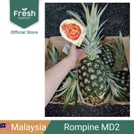 Rompine MD2 Pineapple 黄梨