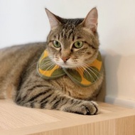 領巾自助餐 圓領普拉斯版 －【 青苔 】