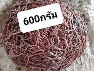 ไส้เดือน AF บรรจุ 600 กรัม