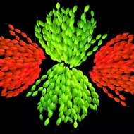 Pond Fishing float Super mini float shrimp float  awa float float Bichromatic light sensitive float 