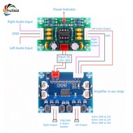 chulisia 12-30VOperational OP- Pre-Amplifier Module NE5532 Amplifier Preamp Board