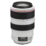 Canon EF 70-300mm f/4-5.6L IS USM Telephoto Lens (Canon Malaysia)