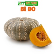 Round pumpkin seeds, easy to grow, tall - H2T FARM
