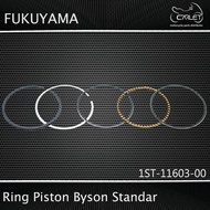Fukuyama PistonRing / Byson PistonRing