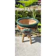 Lotus tea pot number 3