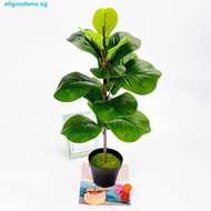 ALLGOODS Artificial Fiddle Leaves Fig Tree, Real Touch Large Fake Ficus Tree, Green Plant Plastic Vi