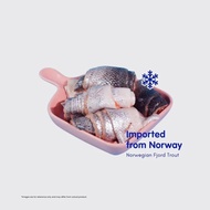 Frozen salmó skin | fjord trout skin (3 SET) | Salmonidae