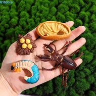 TOBIE Growth Cycle Model For Kid Butterfly Growth Cycle Kids Toy Teaching Material Biology Plastic M