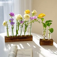 T Test Tube Hydroponic Small Vase Desktop Green Dill Fresh Decorative Ornaments