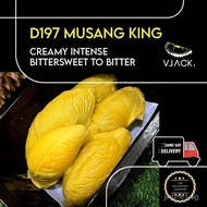 [Pre-Order] D197 Old Tree Musang King Fresh Durian Natural
